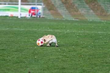 Bild 24 - Frauen MTSV Olympia NMD - SG Ratekau-Strand 08 : Ergebnis: 1:1